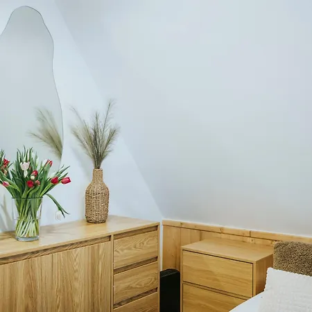 דירה Visitzakopane