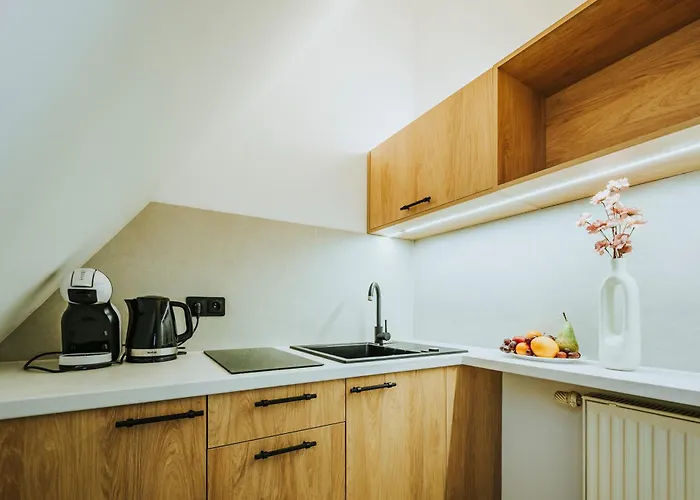 Visitzakopane דירה