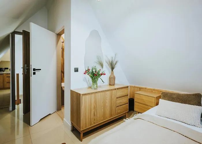 Visitzakopane דירה *